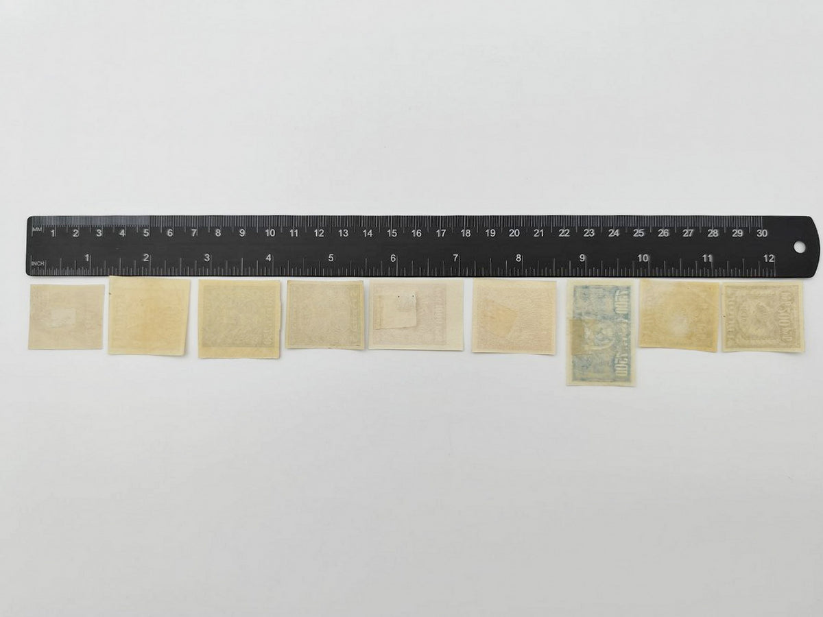 1917–1921 RSFSR Postage Stamps Collection | Vintage Early Soviet Stamp Quarter Block, Pairs & Singles Set of 19 MH