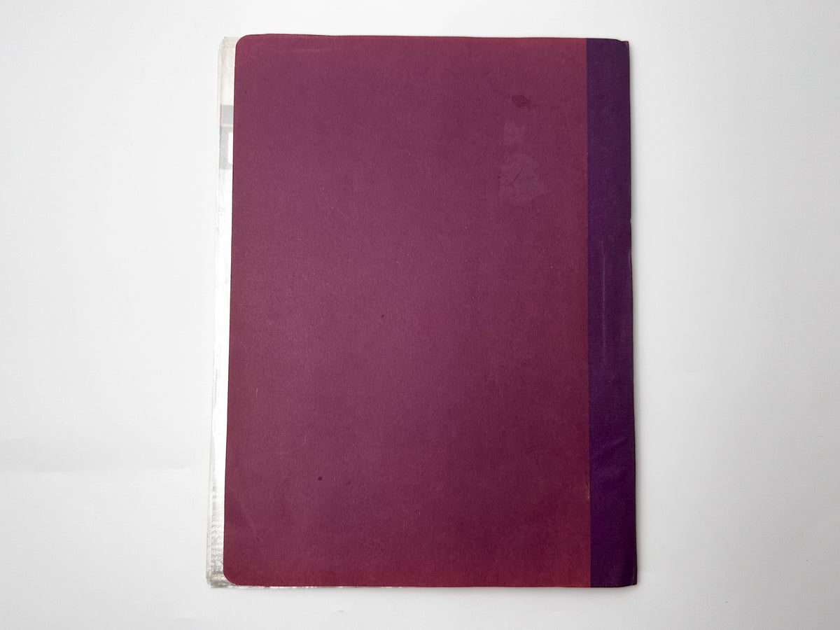 Viktor Tsoi & Kino - Vintage Memorial Fan Set (2 Flexible Vinyls, Notebook Archive & Magazine) USSR