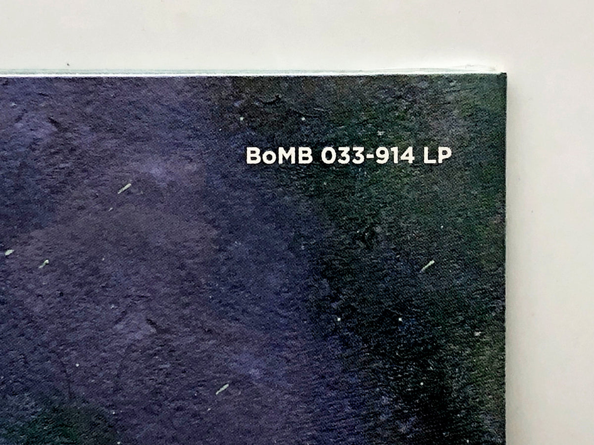 Fedor Chistyakov – Bez Durakov Vinyl Record LP Bomba Music 2016