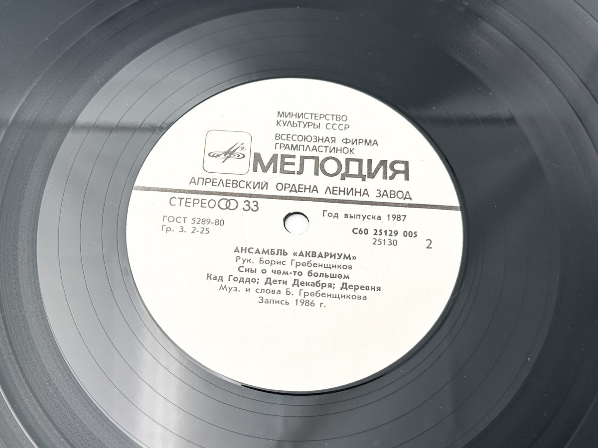 Aquarium - Radio Africa Vinyl LP 1988 Soviet Melodiya USSR
